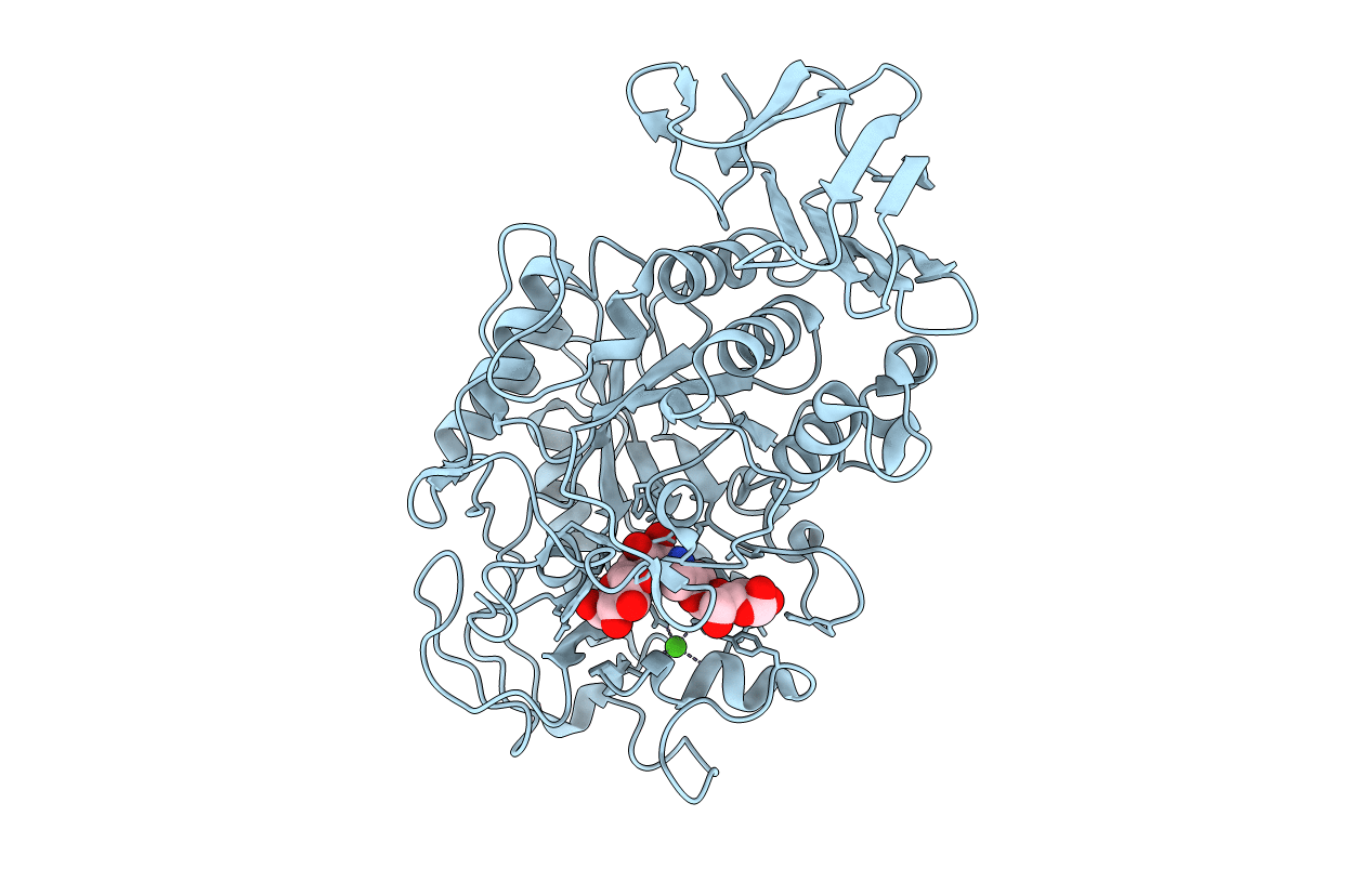 3DHP image