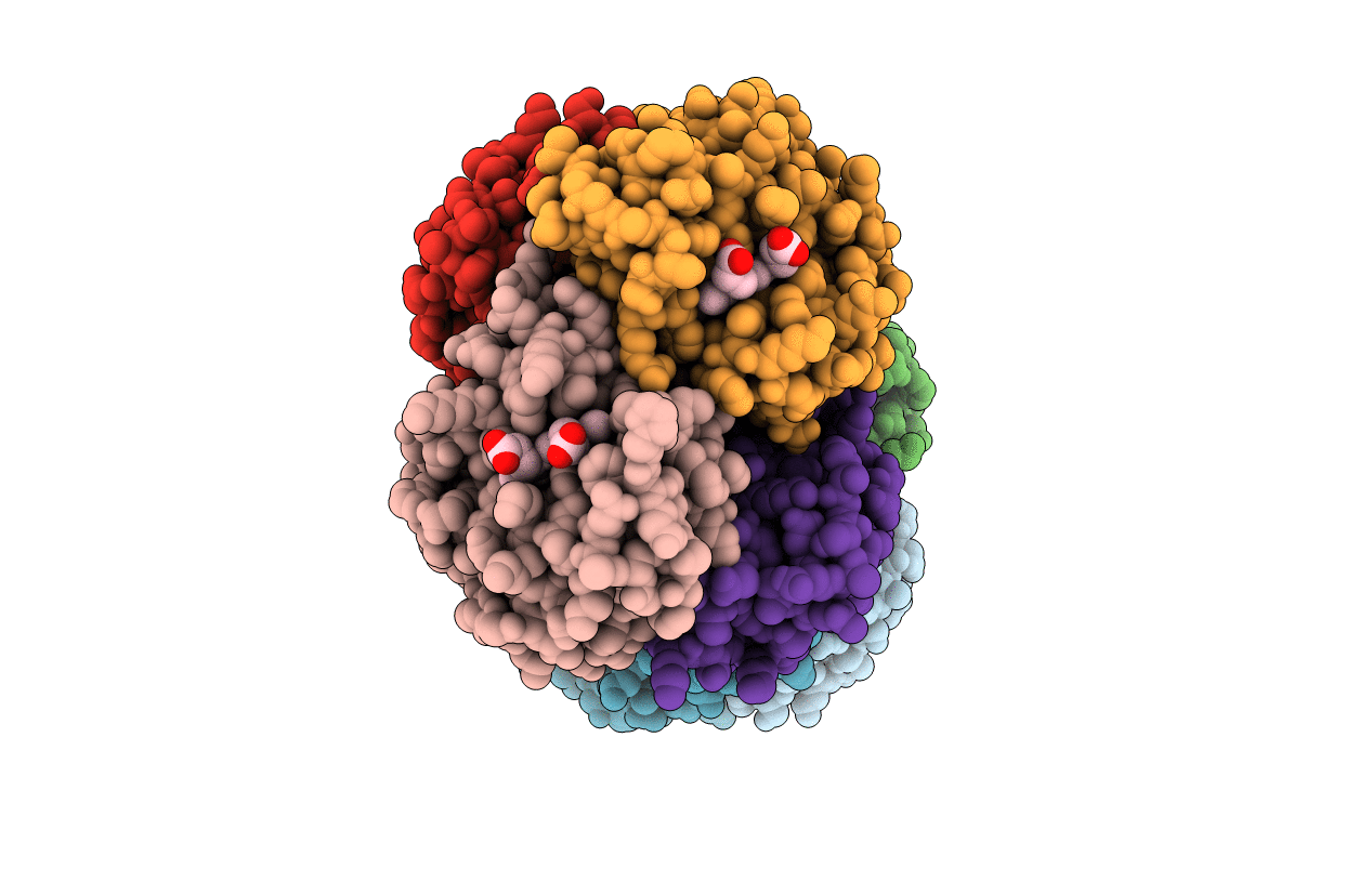 3DHR image