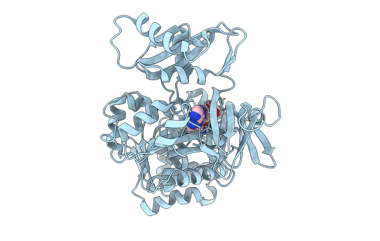 3DHV image