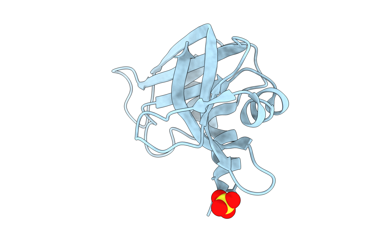 3DIB image