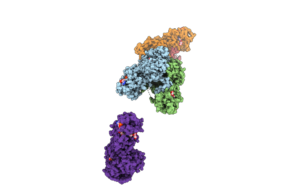 3DL5 image
