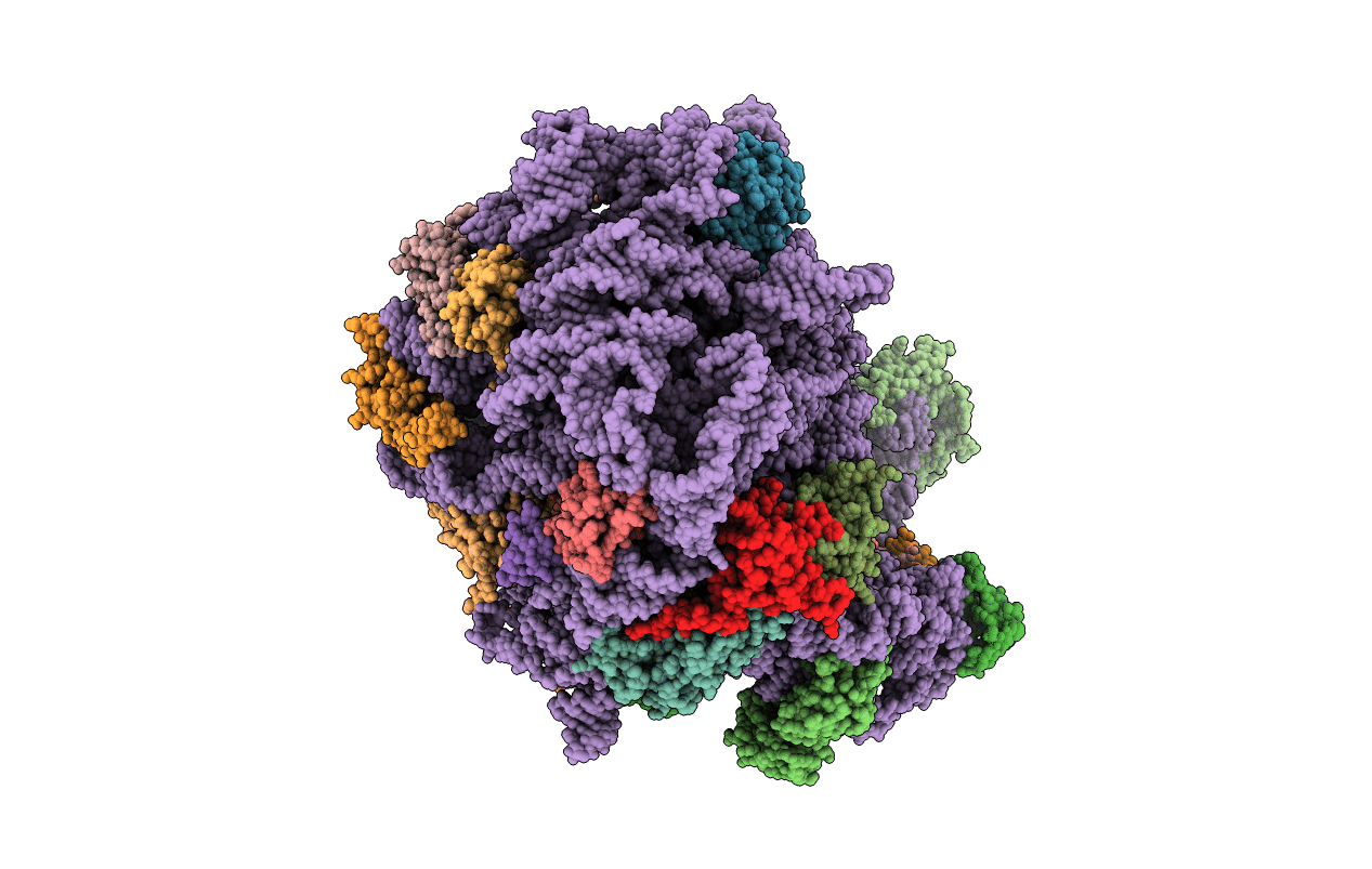 3DLL image