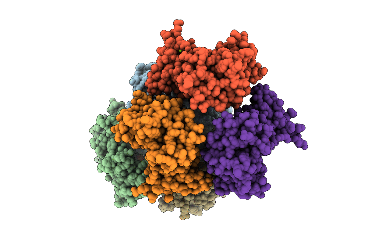 3DLS image