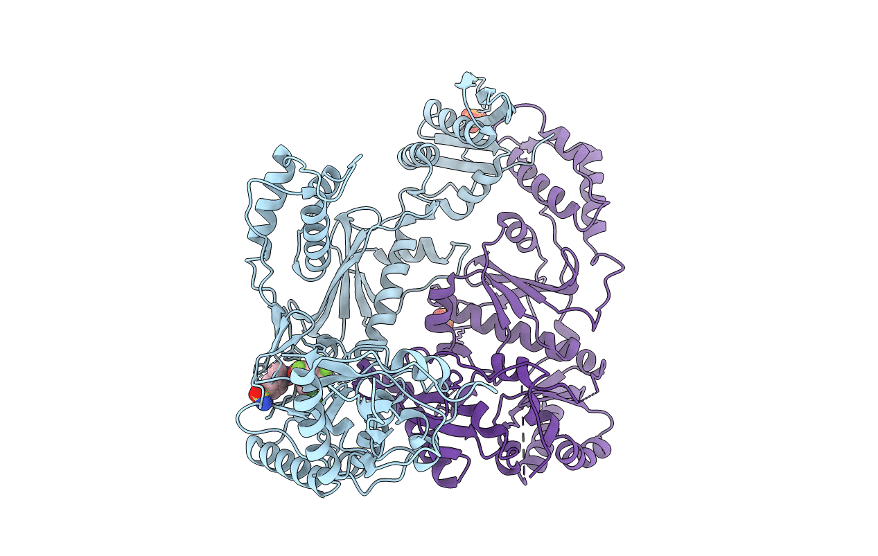 3DM2 image