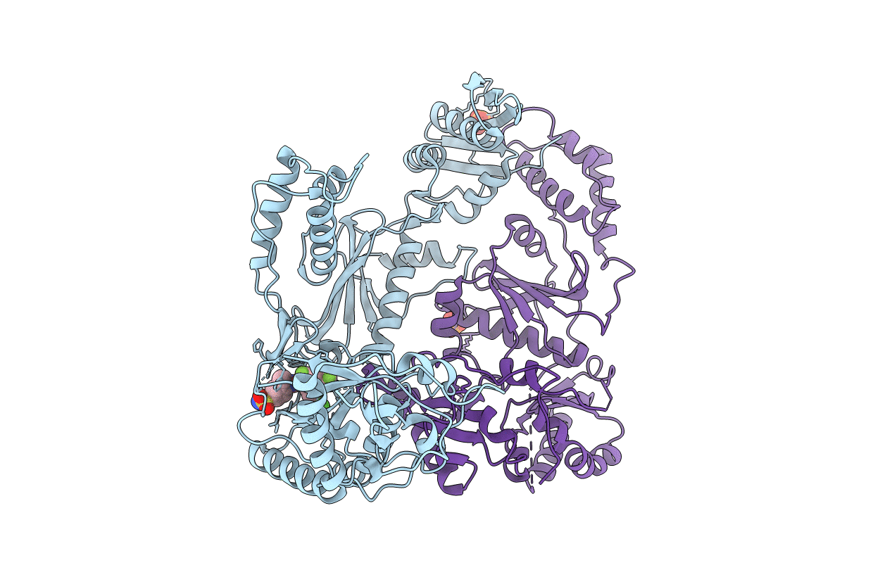 3DMJ image