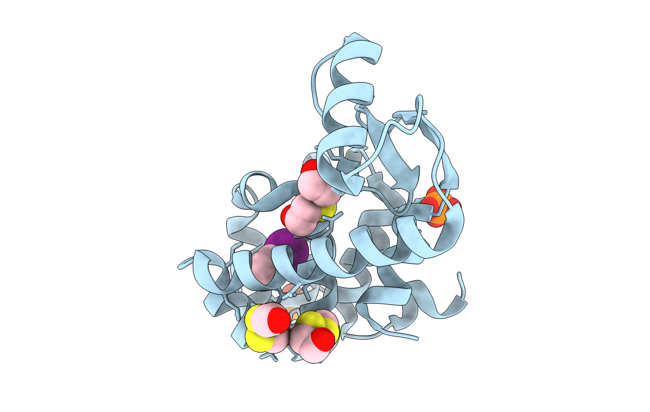 3DN4 image