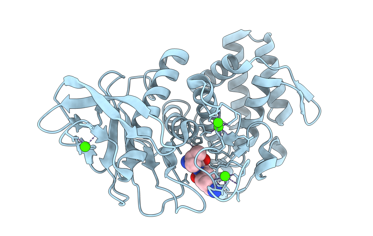 3DNZ image