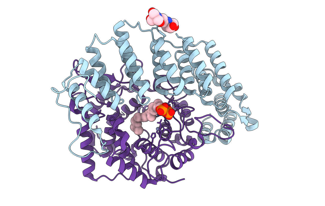 3DRA image
