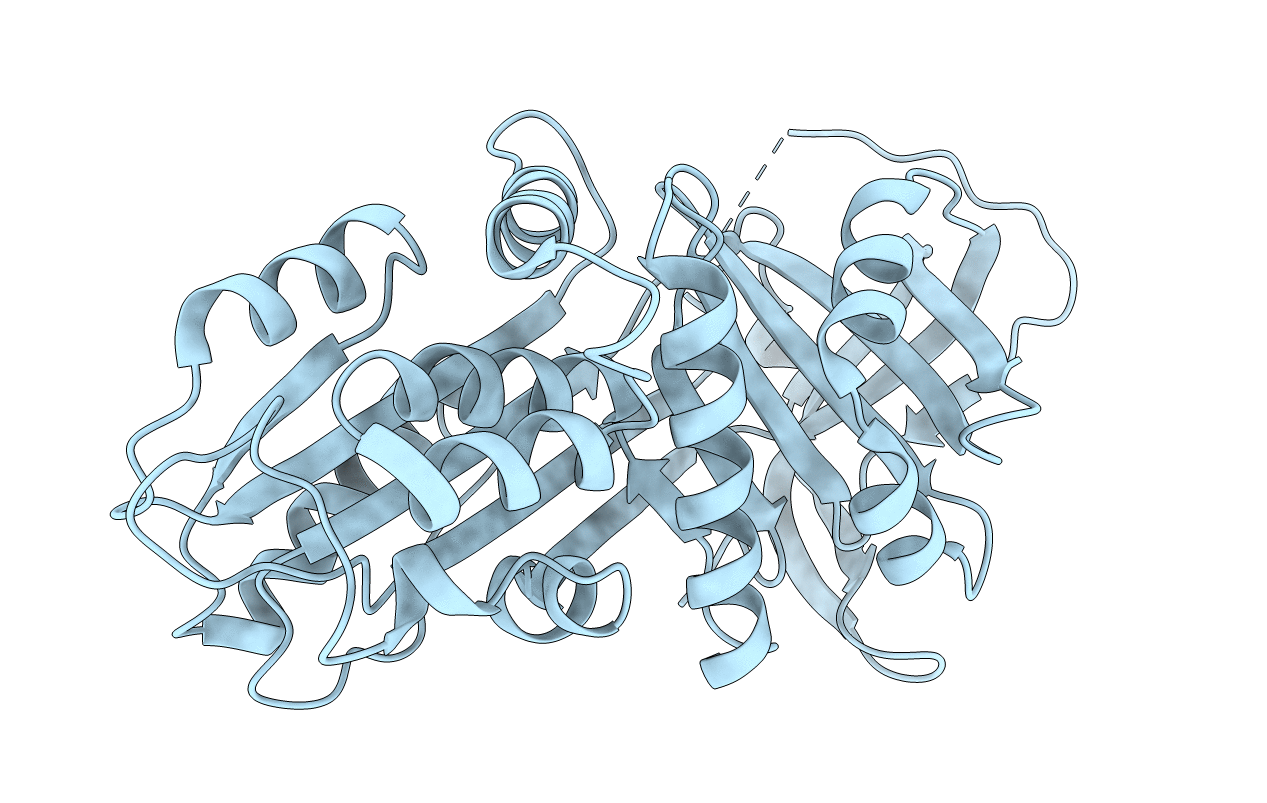 3DRM image