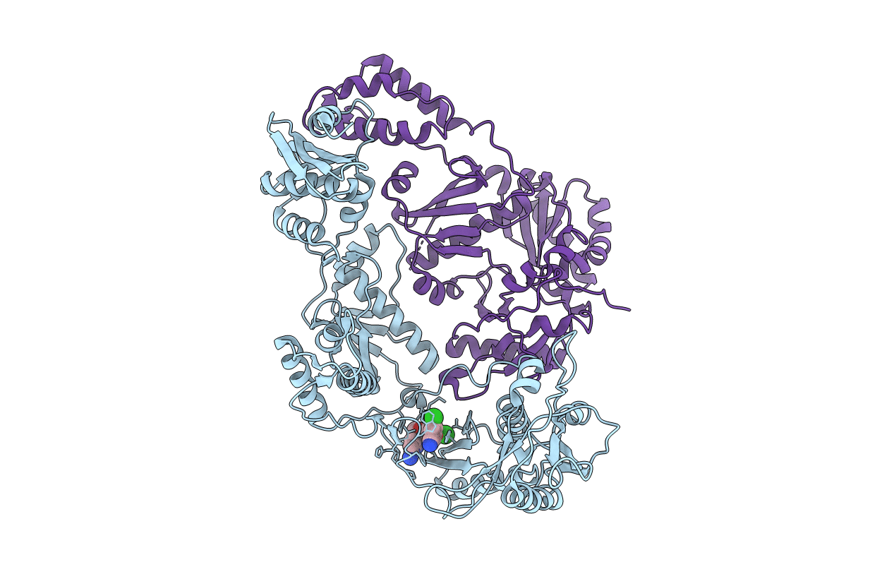 3DRR image