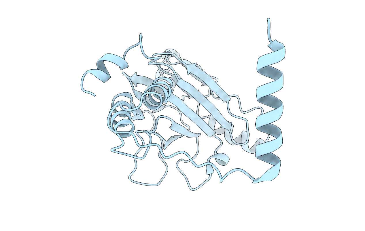 3DSH image