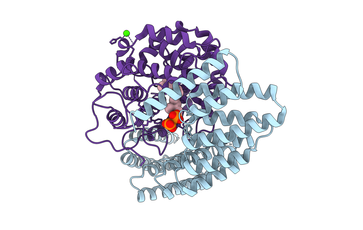 3DSU image