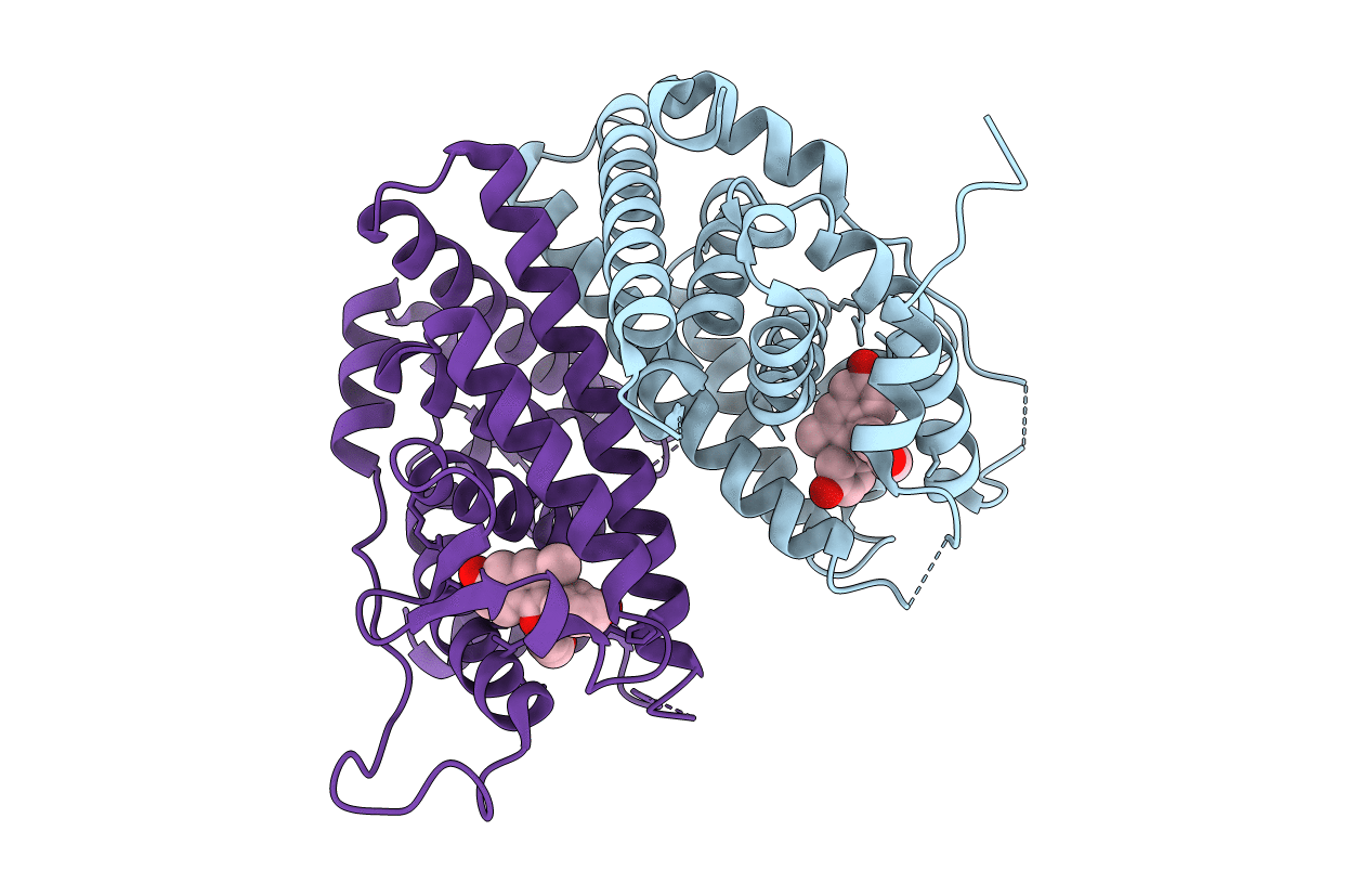 3DT3 image