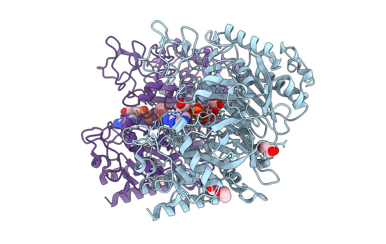 3DT7 image