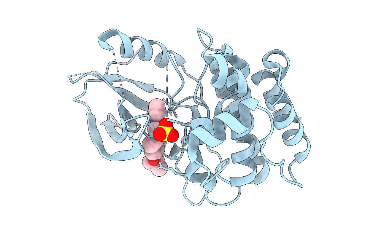 3DTC image
