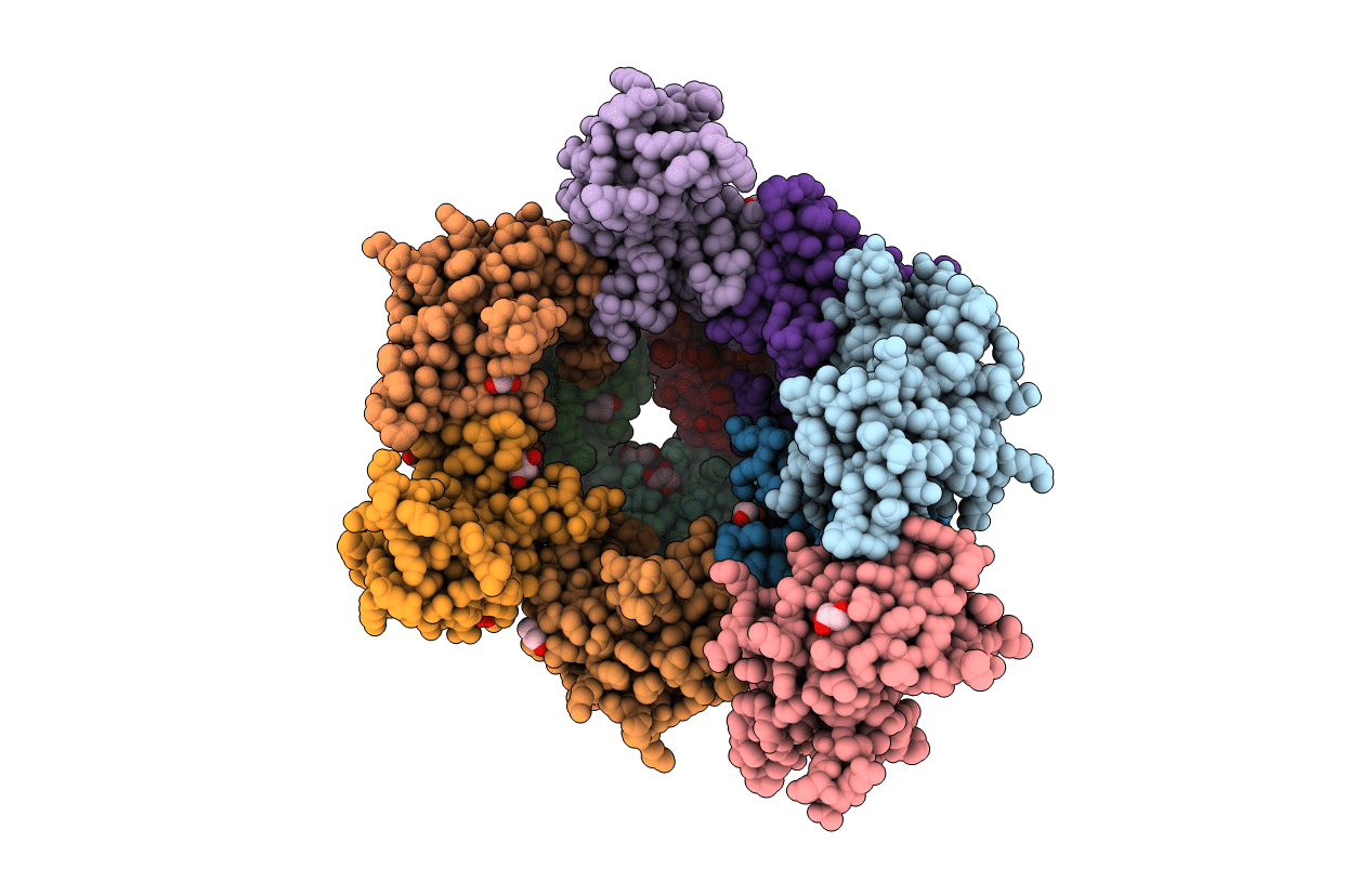 3DTD image