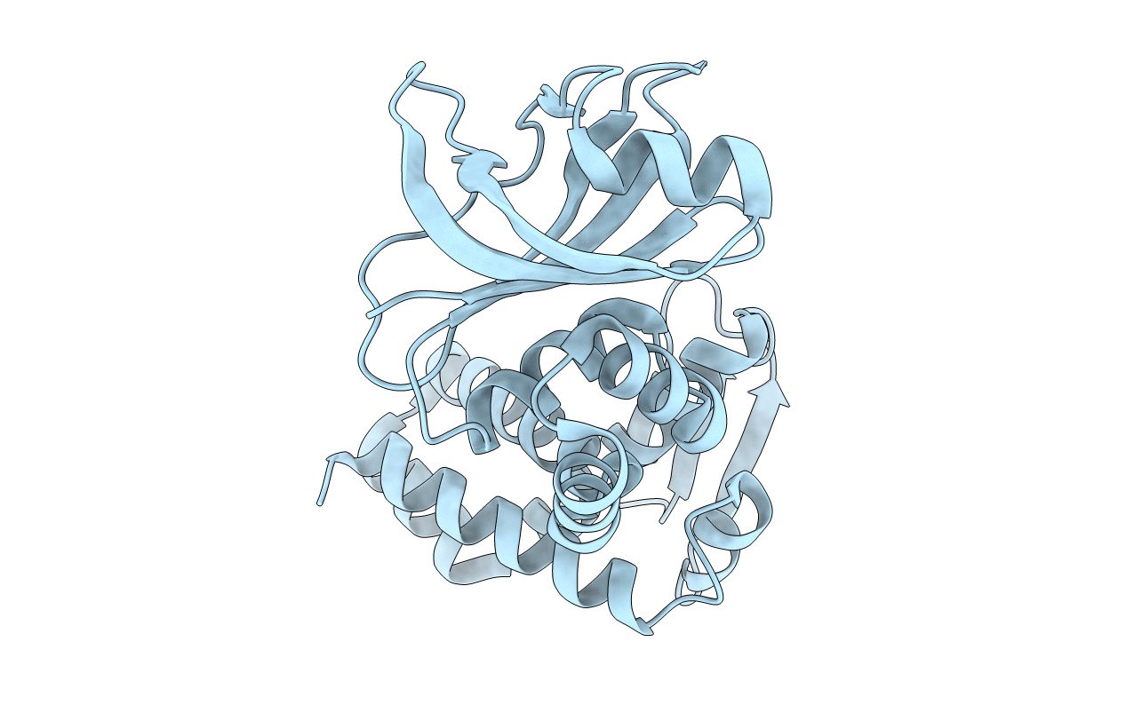 3DTE image