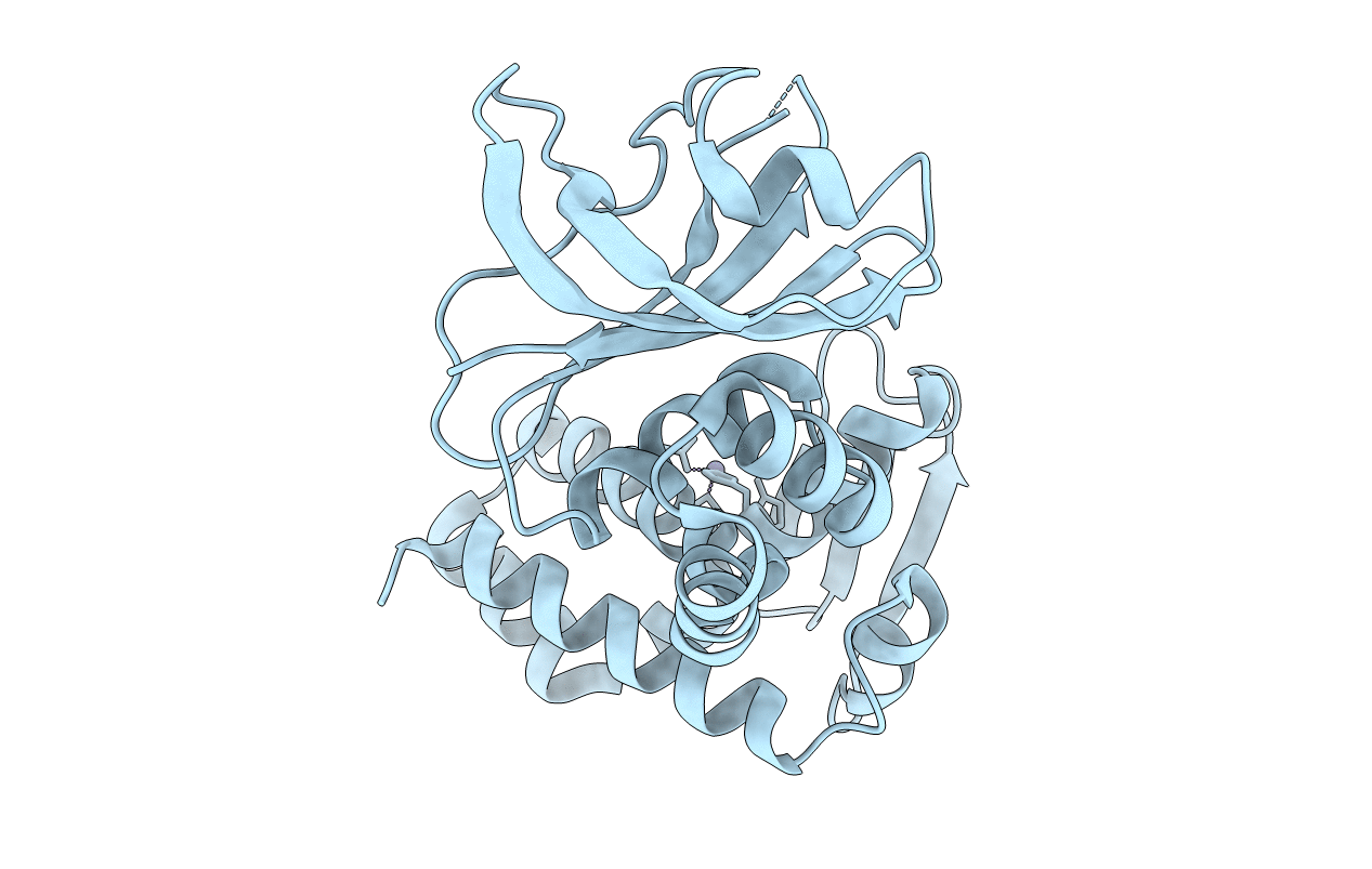 3DTI image