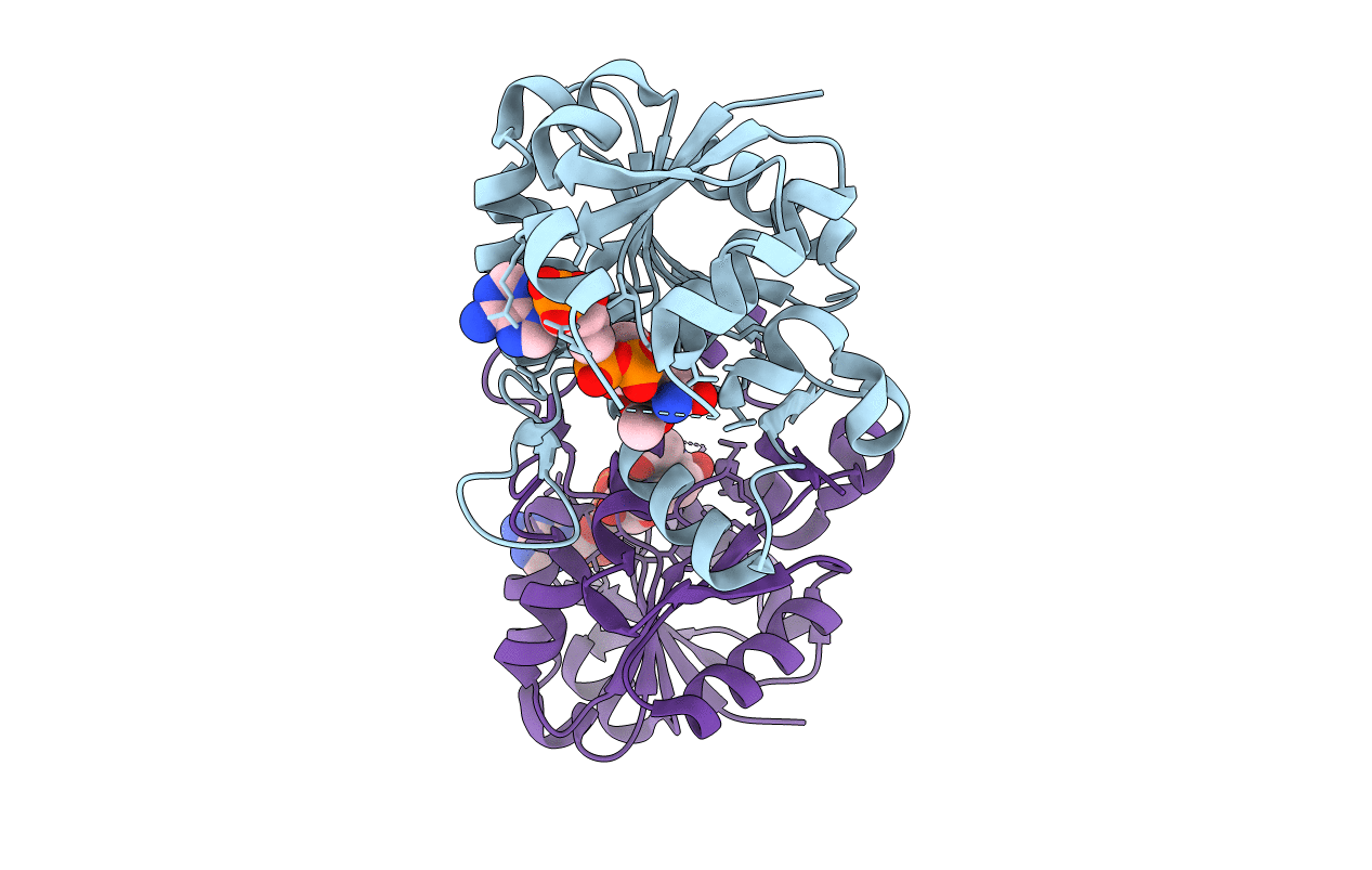 3DTT image