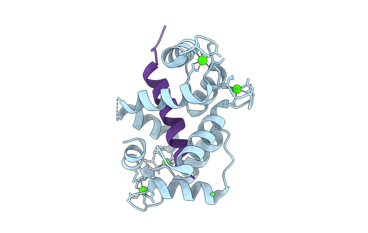 3DVE image