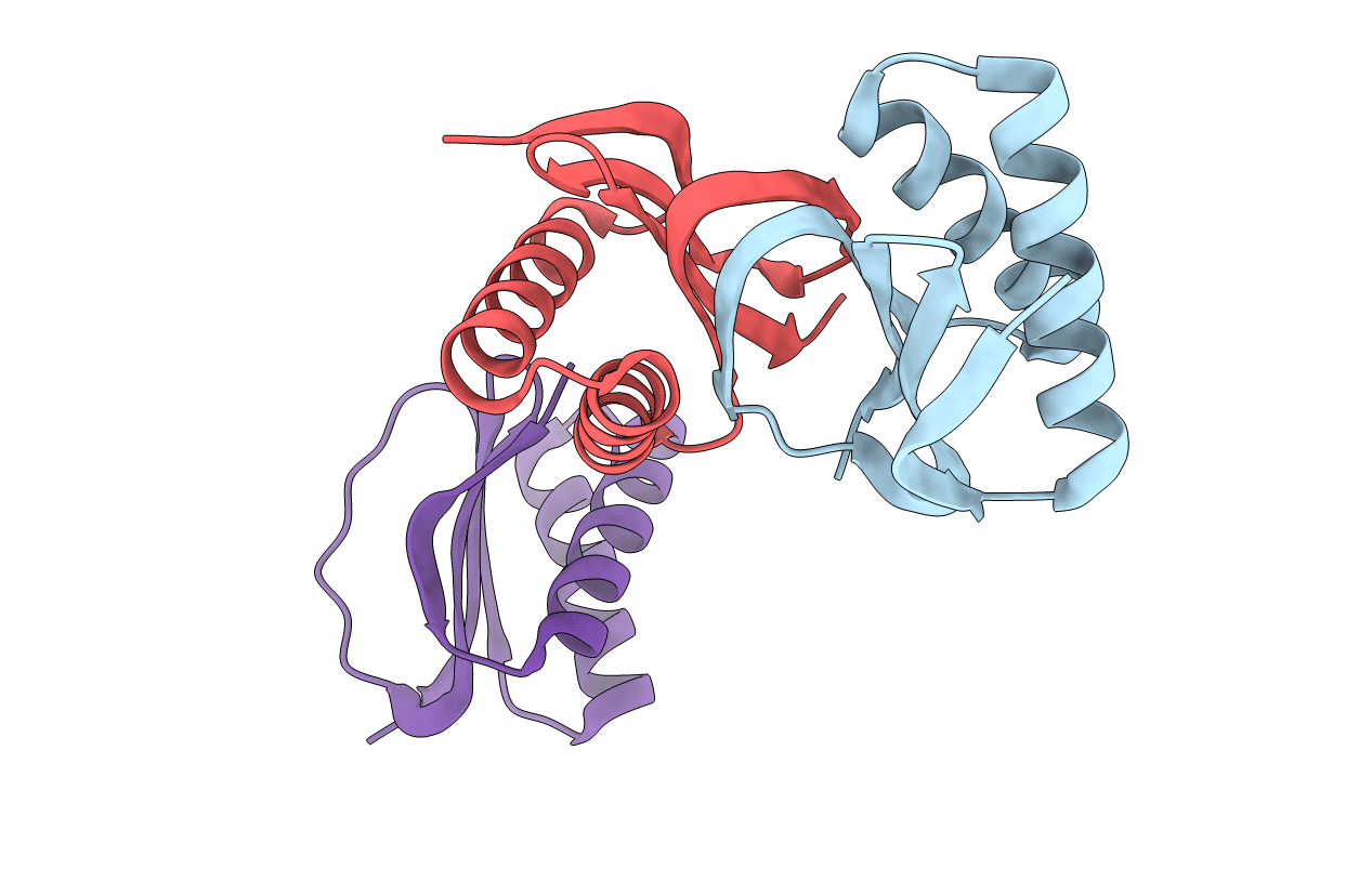 3DVH image