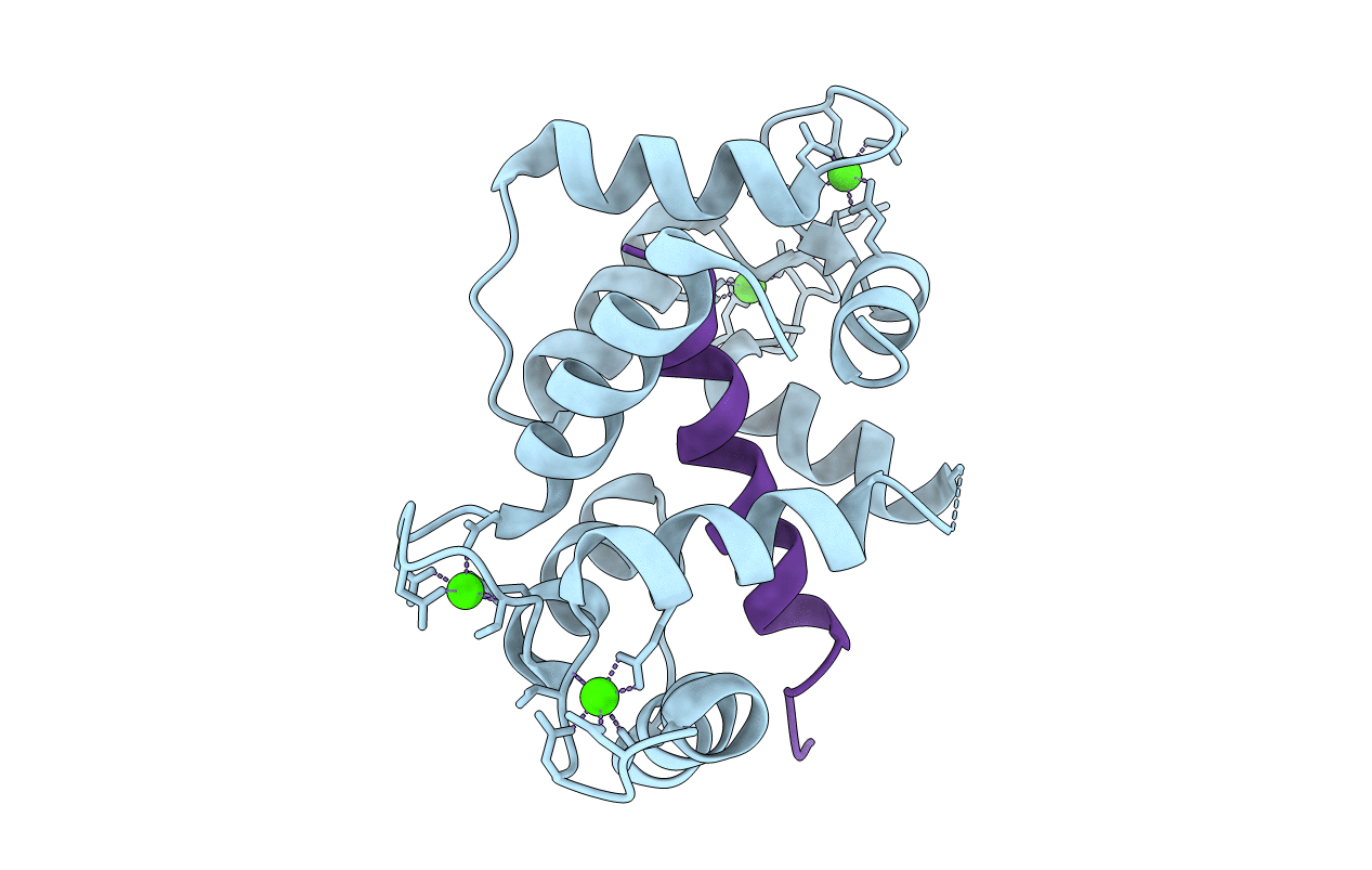 3DVJ image