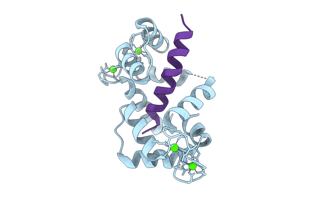3DVM image