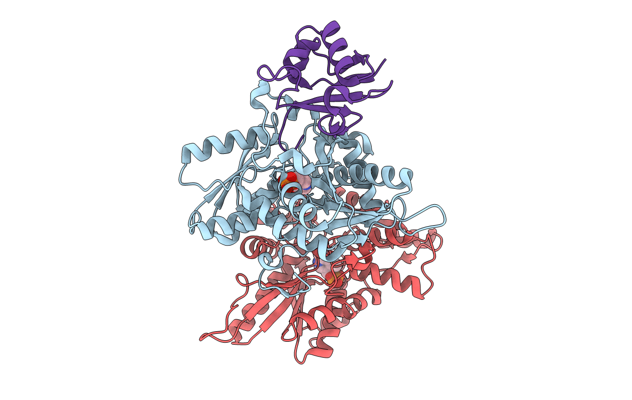 3DWG image