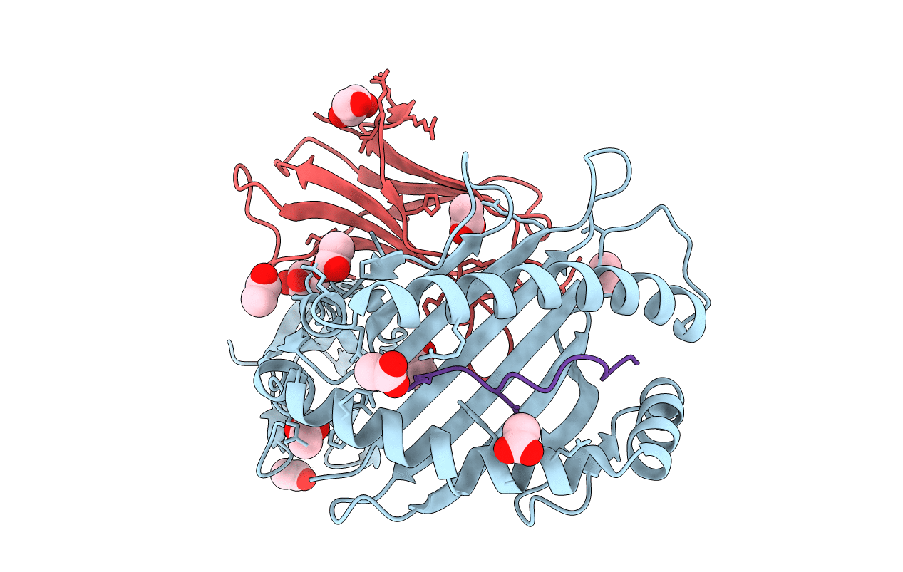 3DX6 image