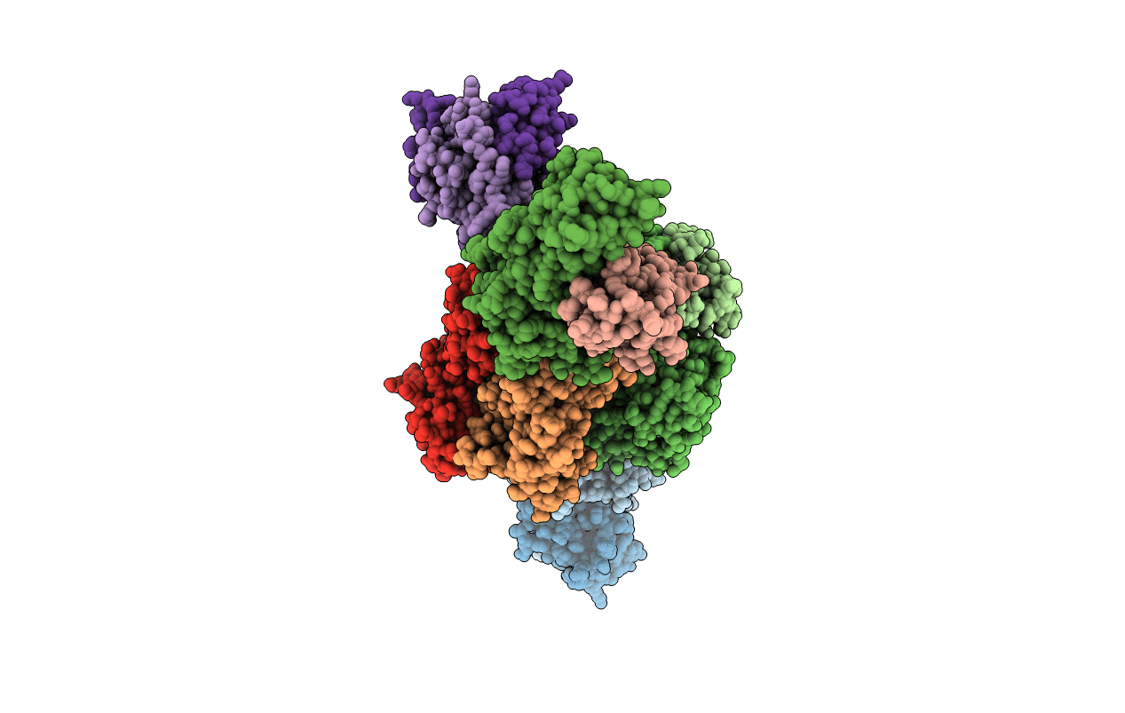 3DXA image