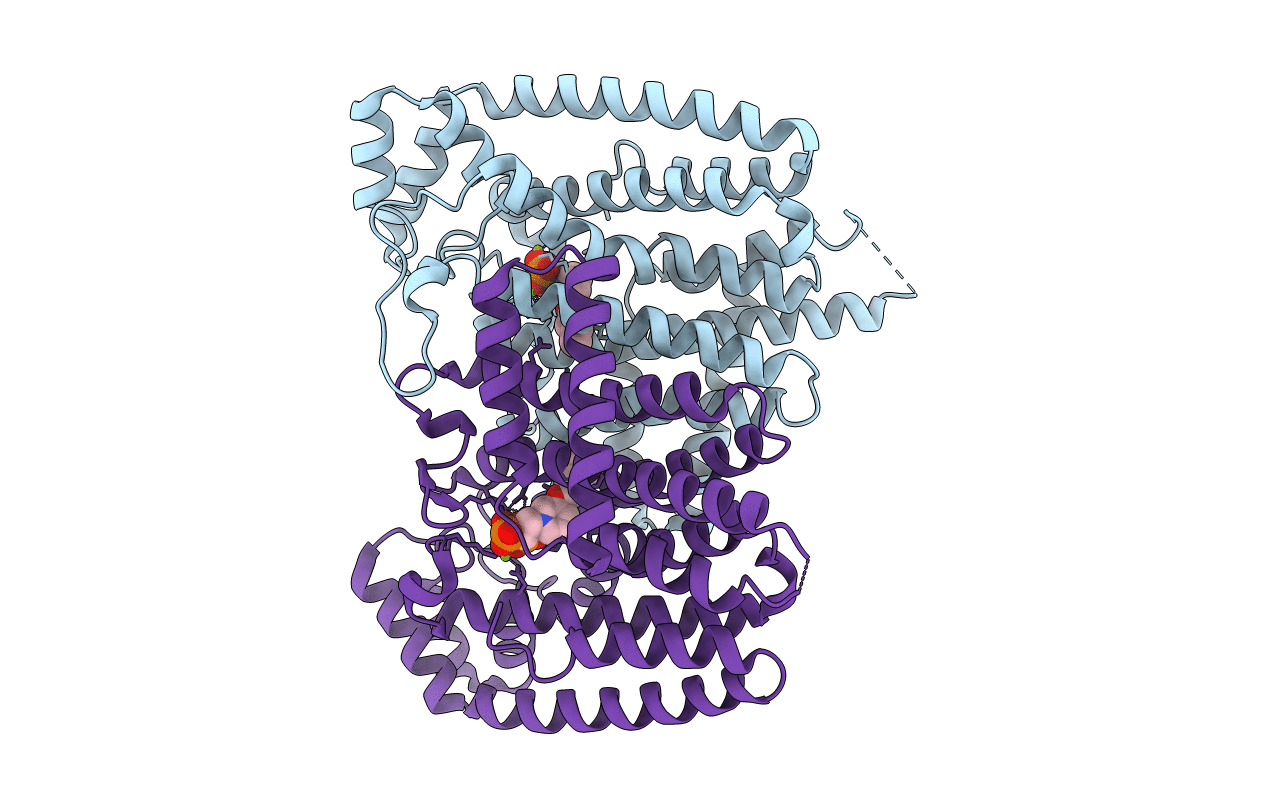 3DYH image