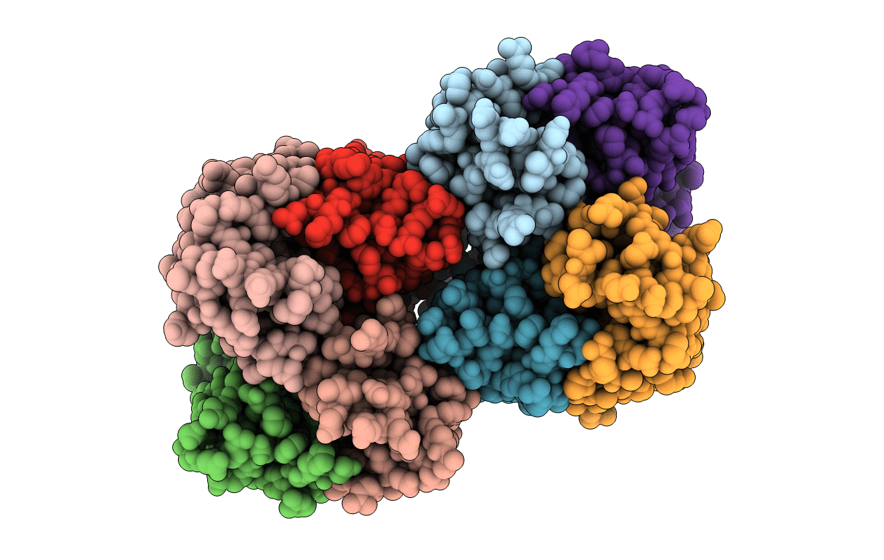 3E1E image