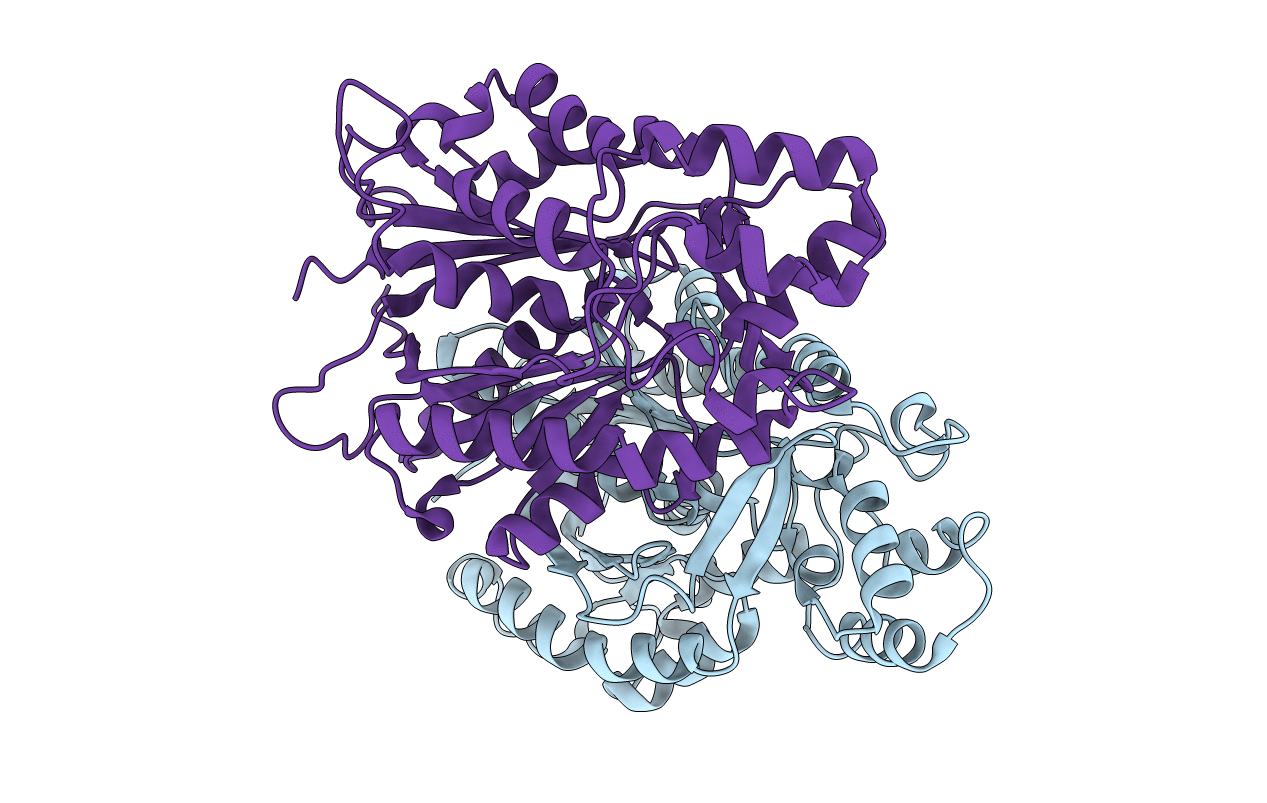 3E1H image