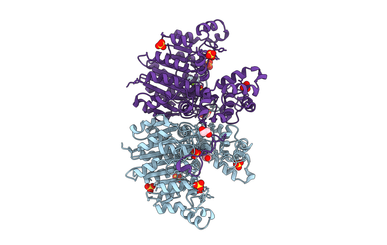 3E2D image