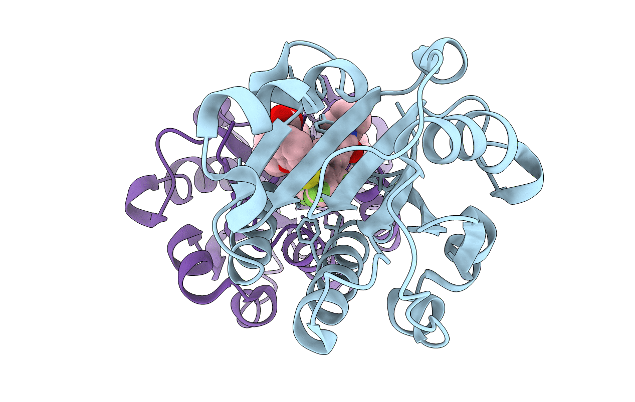 3E2M image
