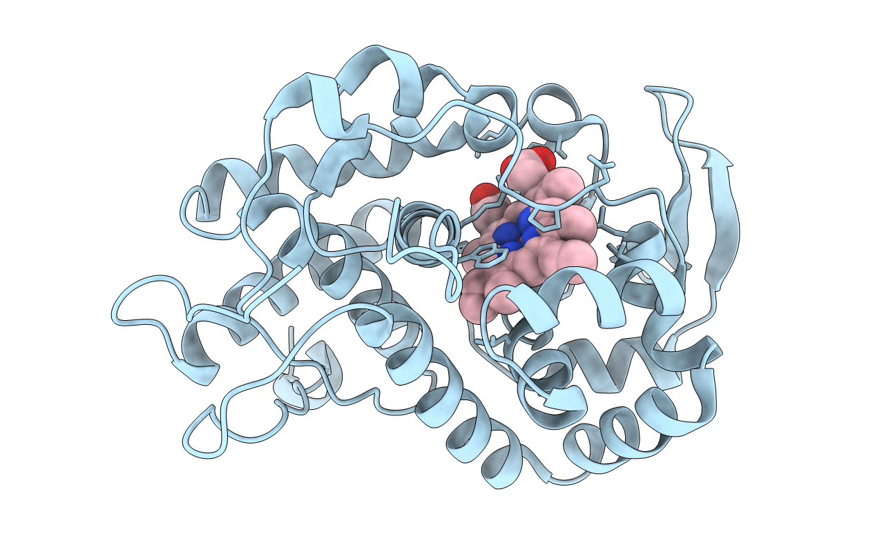 3e2n image