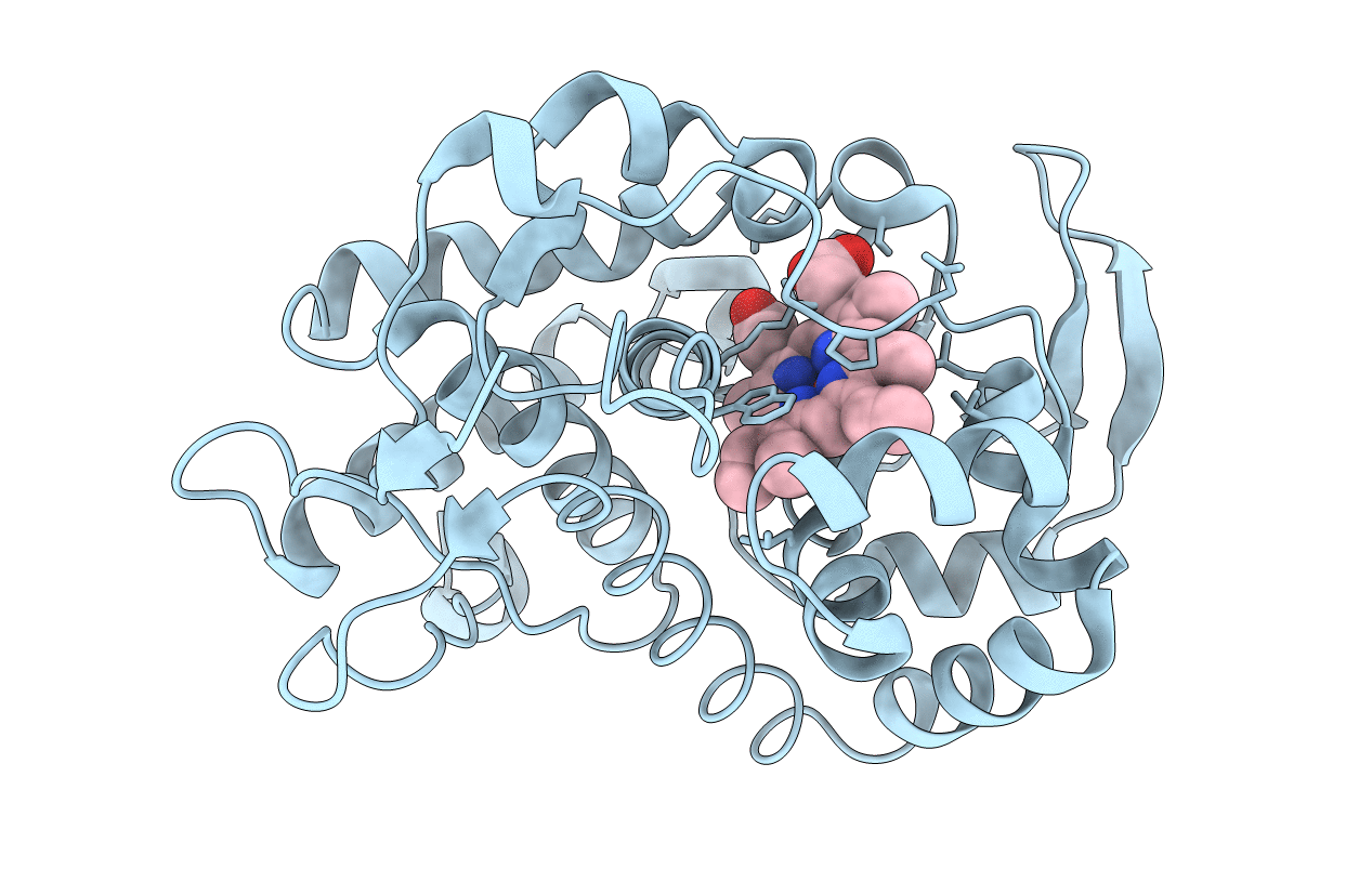 3E2O image