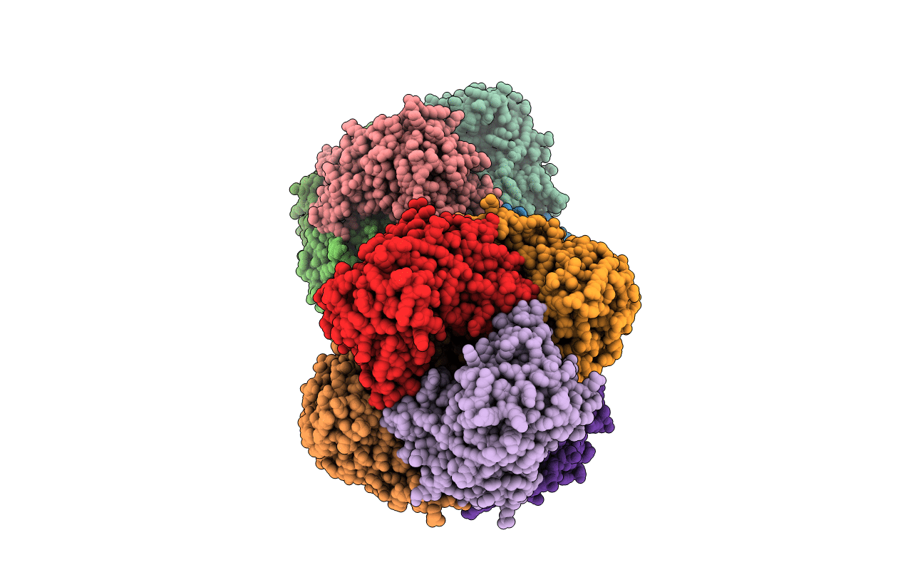 3E2P image