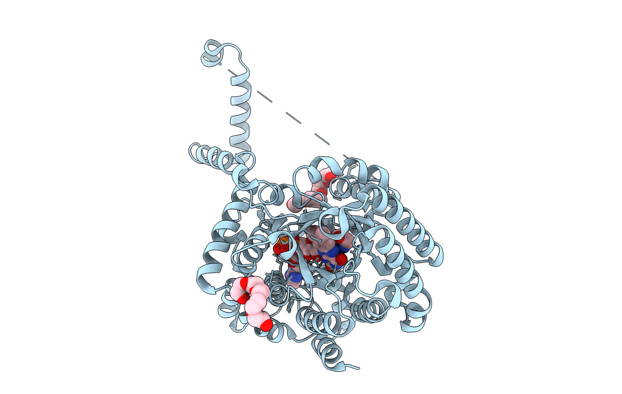 3E2Q image