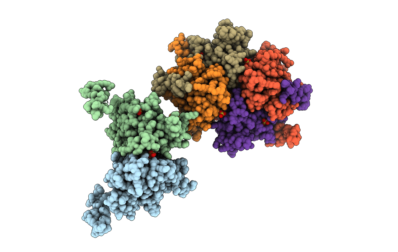3E2W image