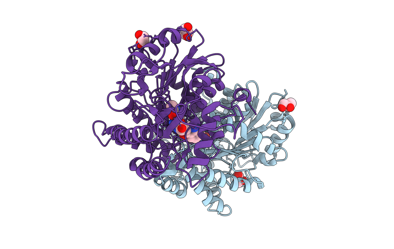 3E2Z image
