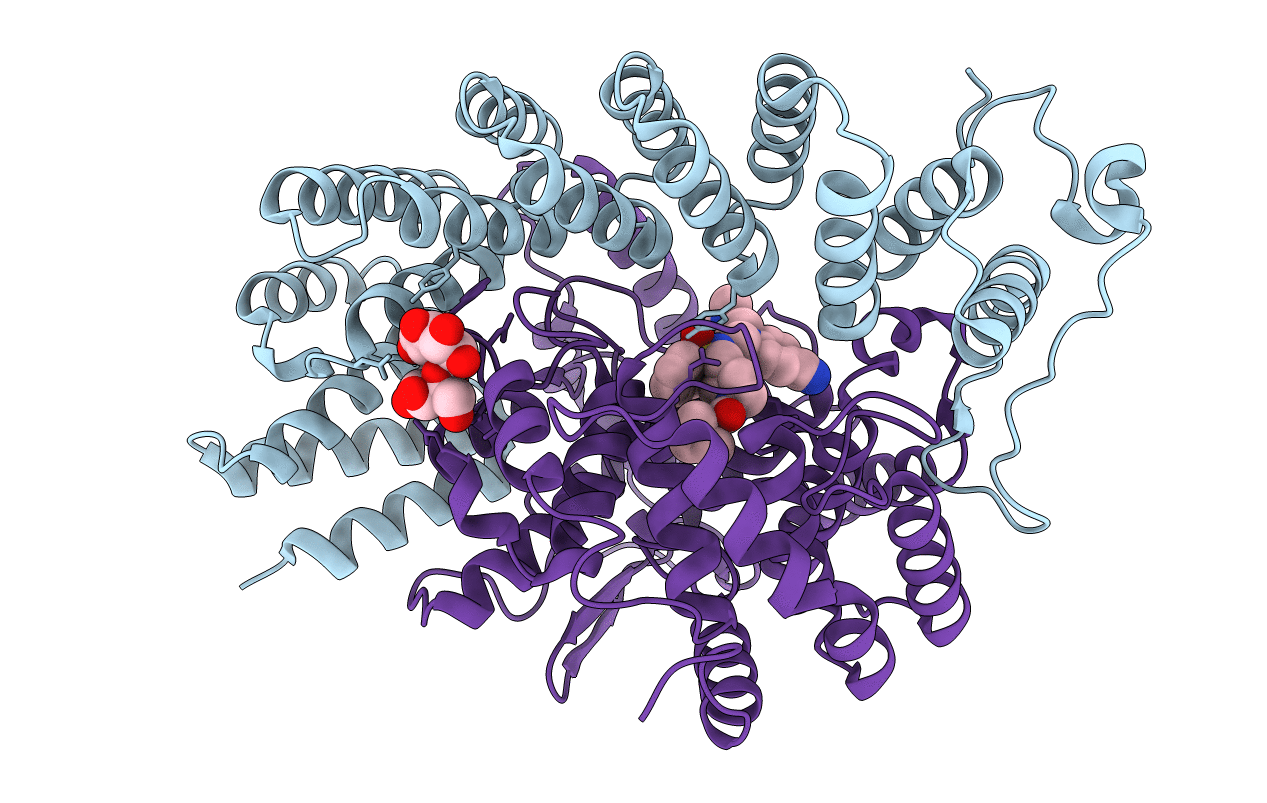 3E37 image