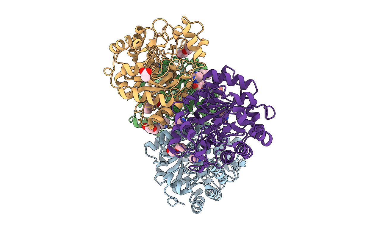3E49 image