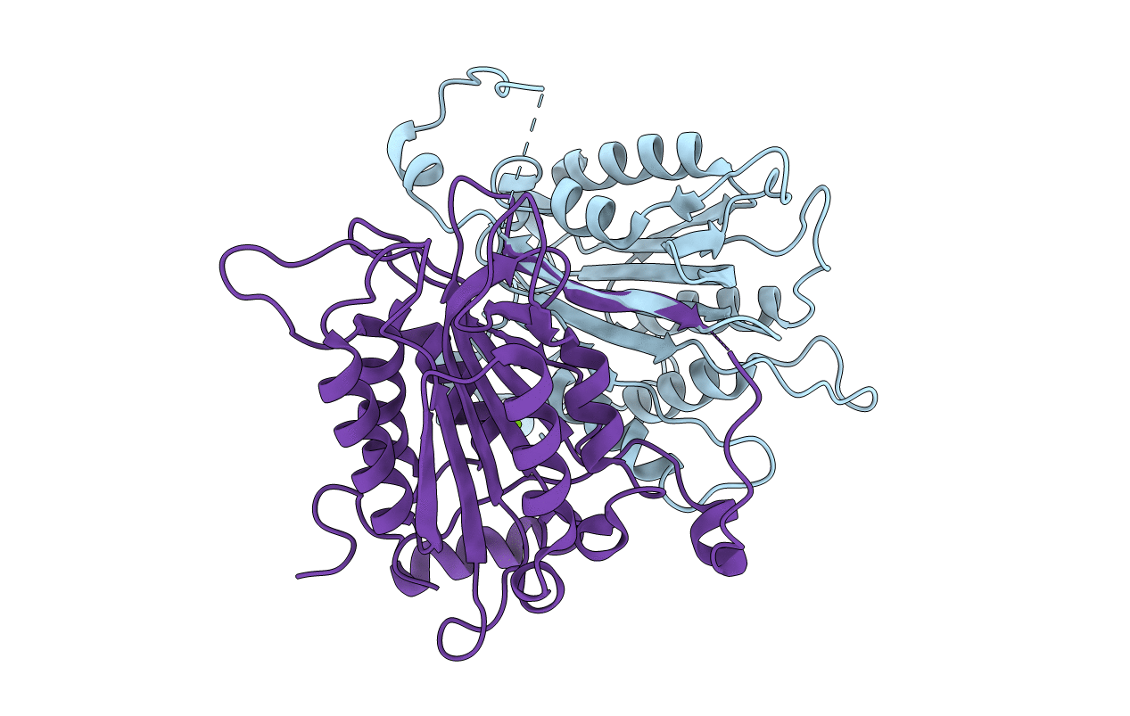3E4C image