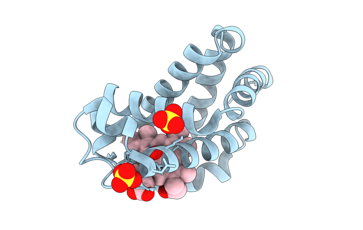 3E4N image