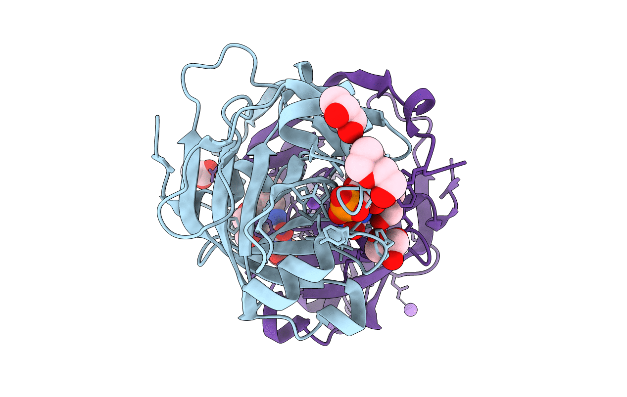 3E4V image