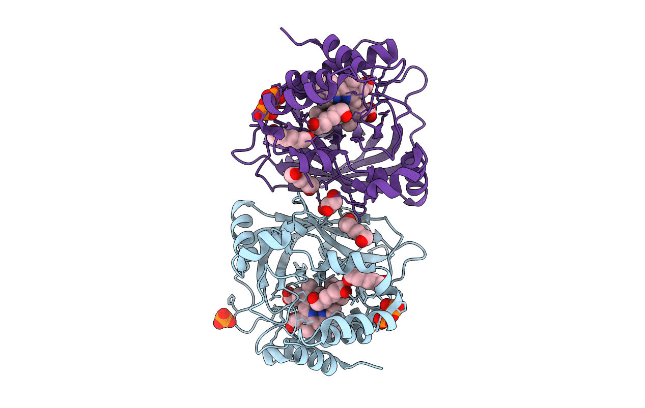 3E4W image