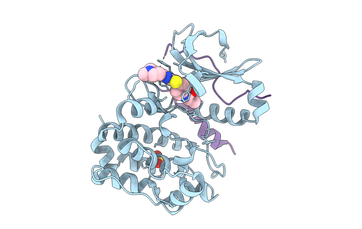 3E5A image
