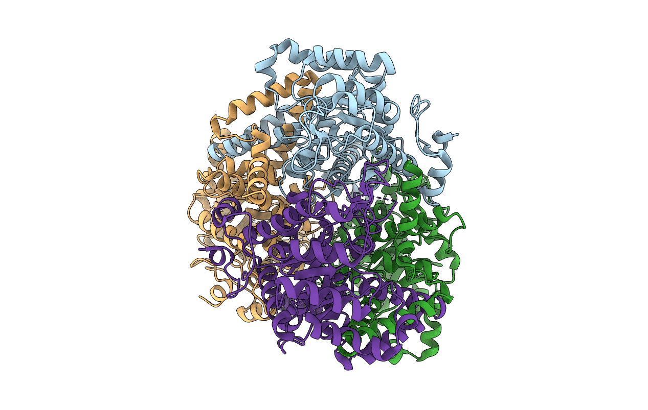 3E5B image