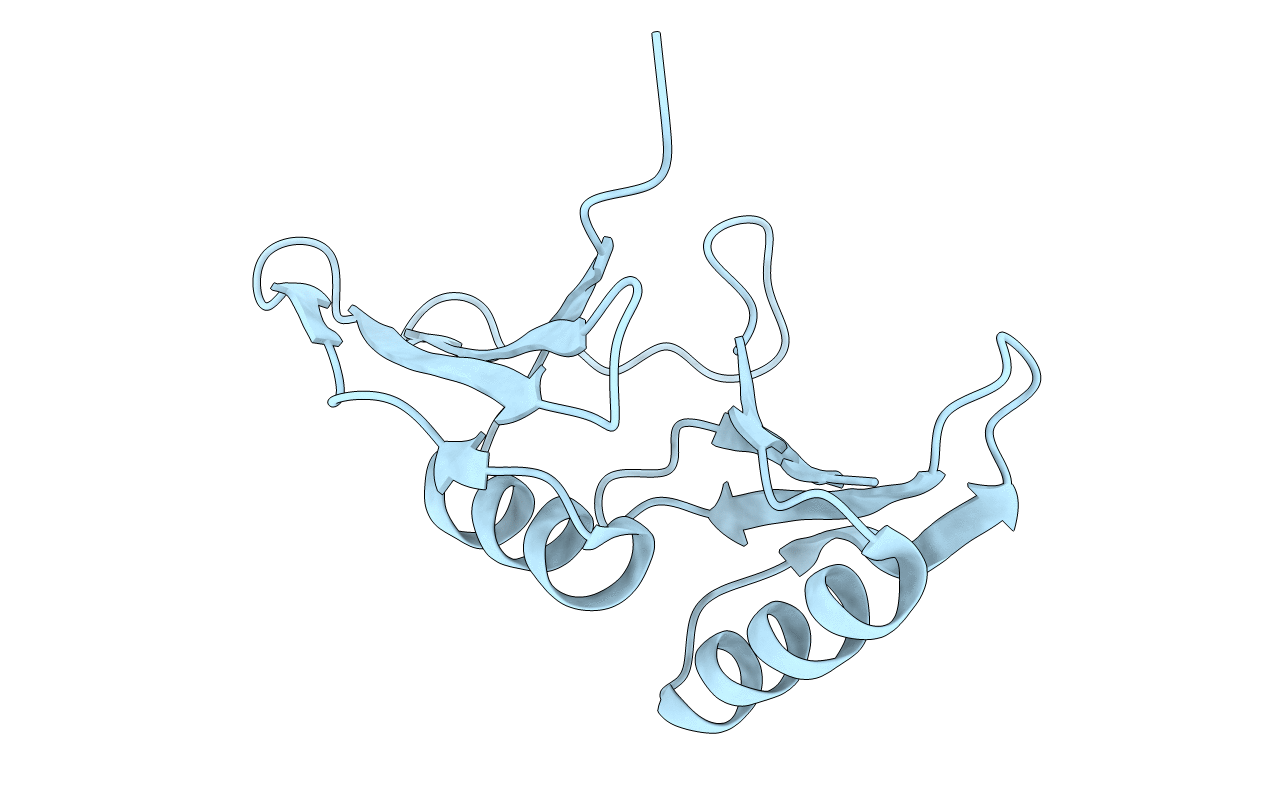 3E5D image